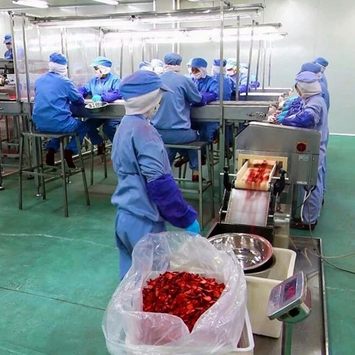 Raw-Material-Selecting-1 Raw Material Selecting