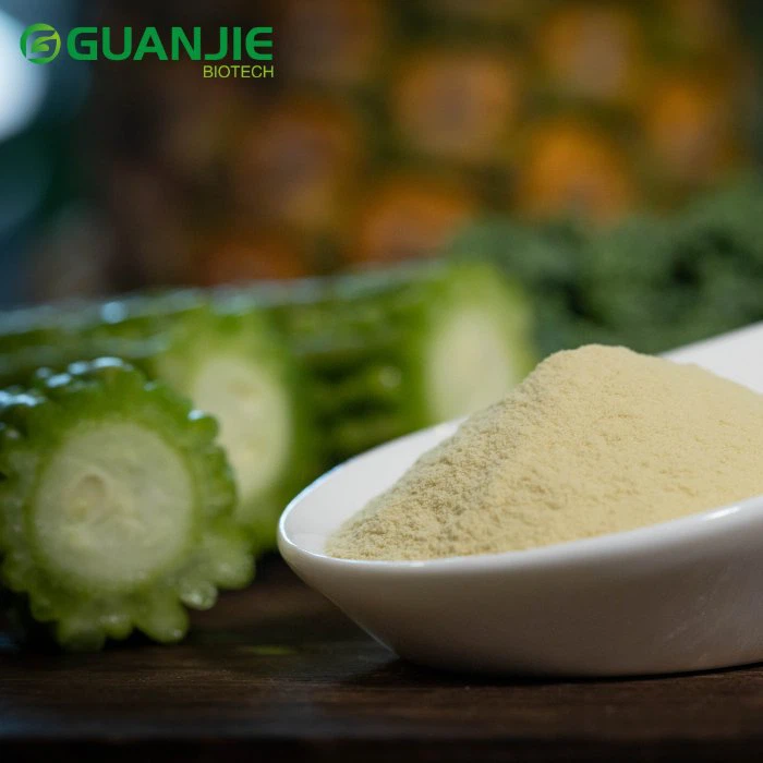 Spray Dried Bitter Melon Powder Spray Dried Bitter Melon Powder