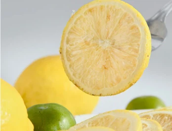 freeze dried lemon dice freeze dried lemon dice